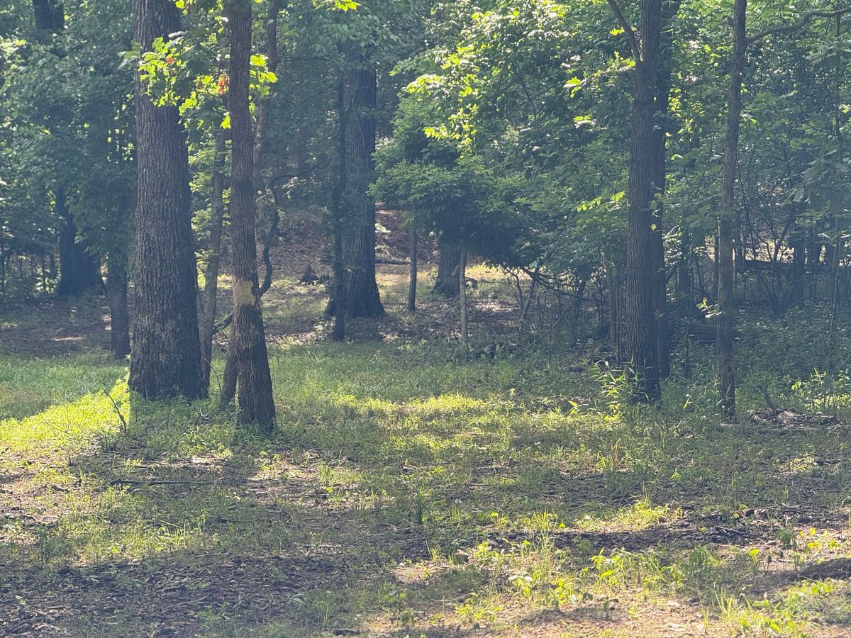 E12