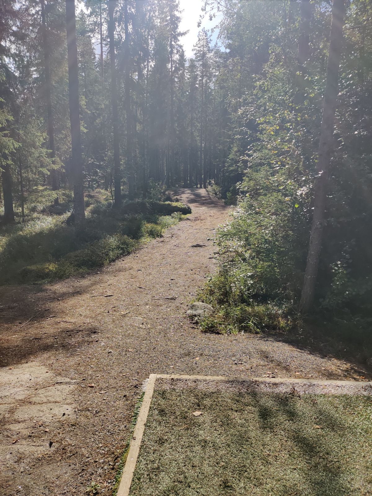 Väylä #16. Aika perus oikealle päin kaartava. Kannattaa tsekata pururata ulkoilijoiden varalta ennen heittoa