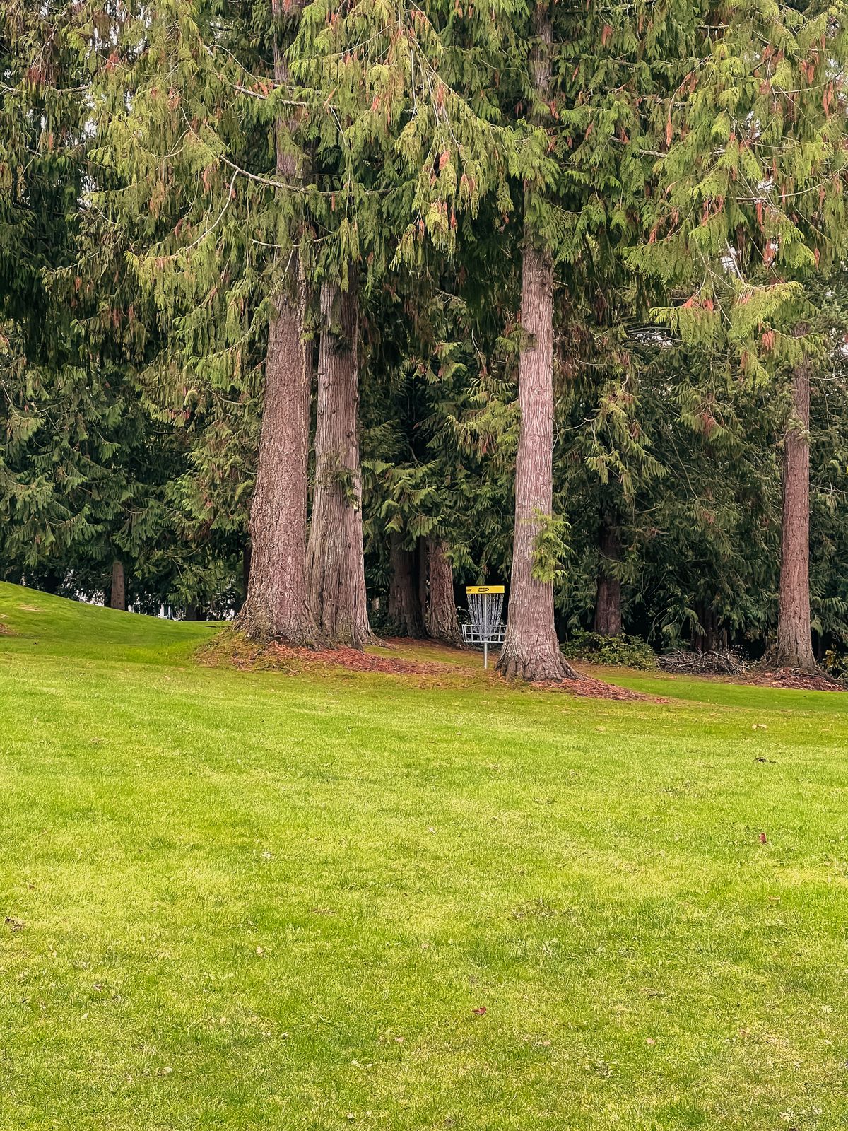 Hole 13