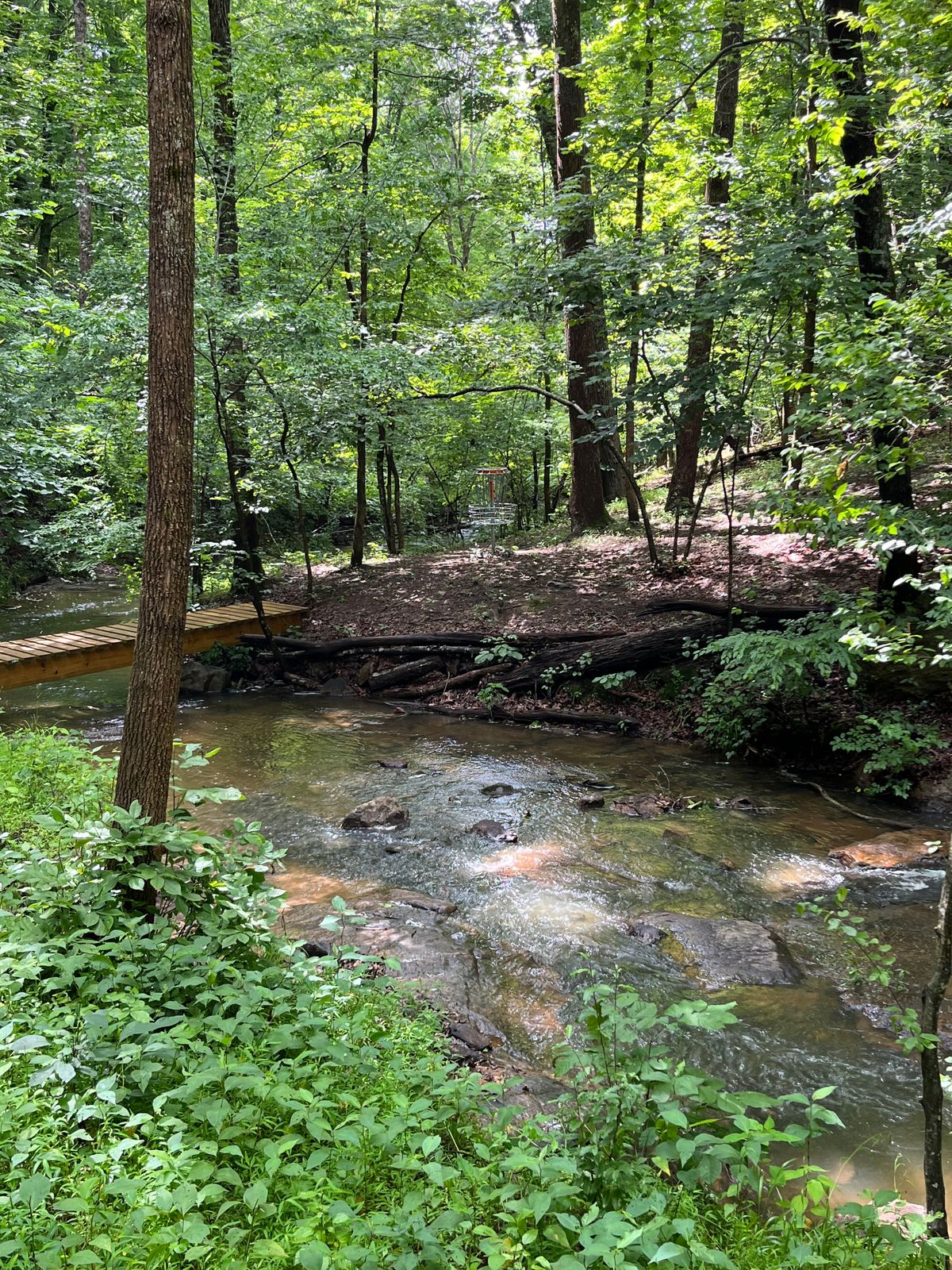 Hole 7 “Island”