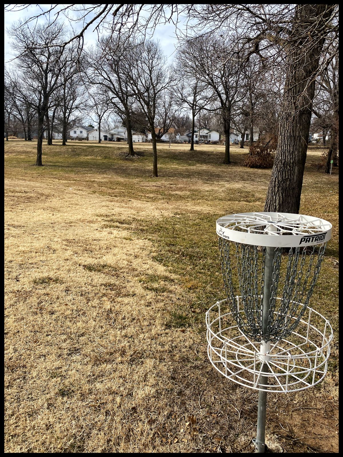 #3 green looking back