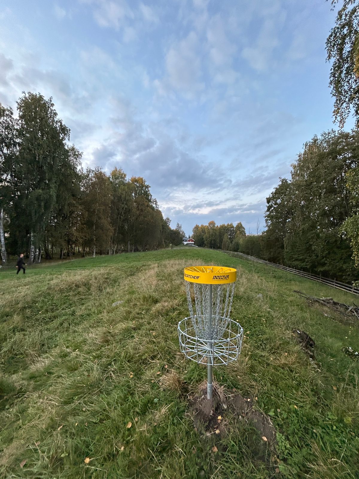 Hole 10 basket