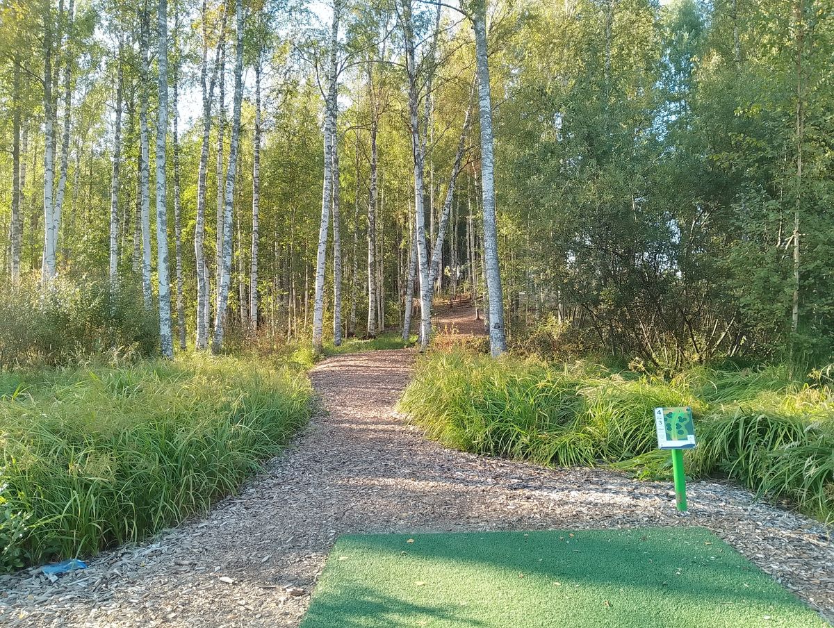 Hole #4.