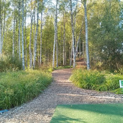 Hole #4.