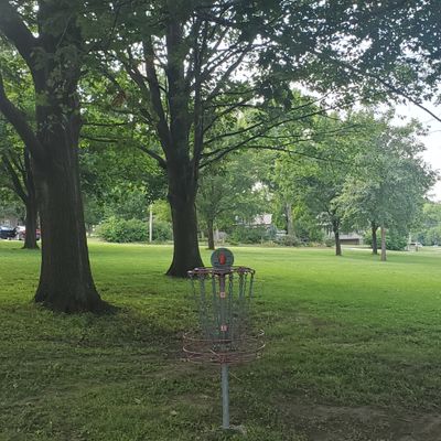 Tee boxes and baskets are surrounded by trees that require accuracy.