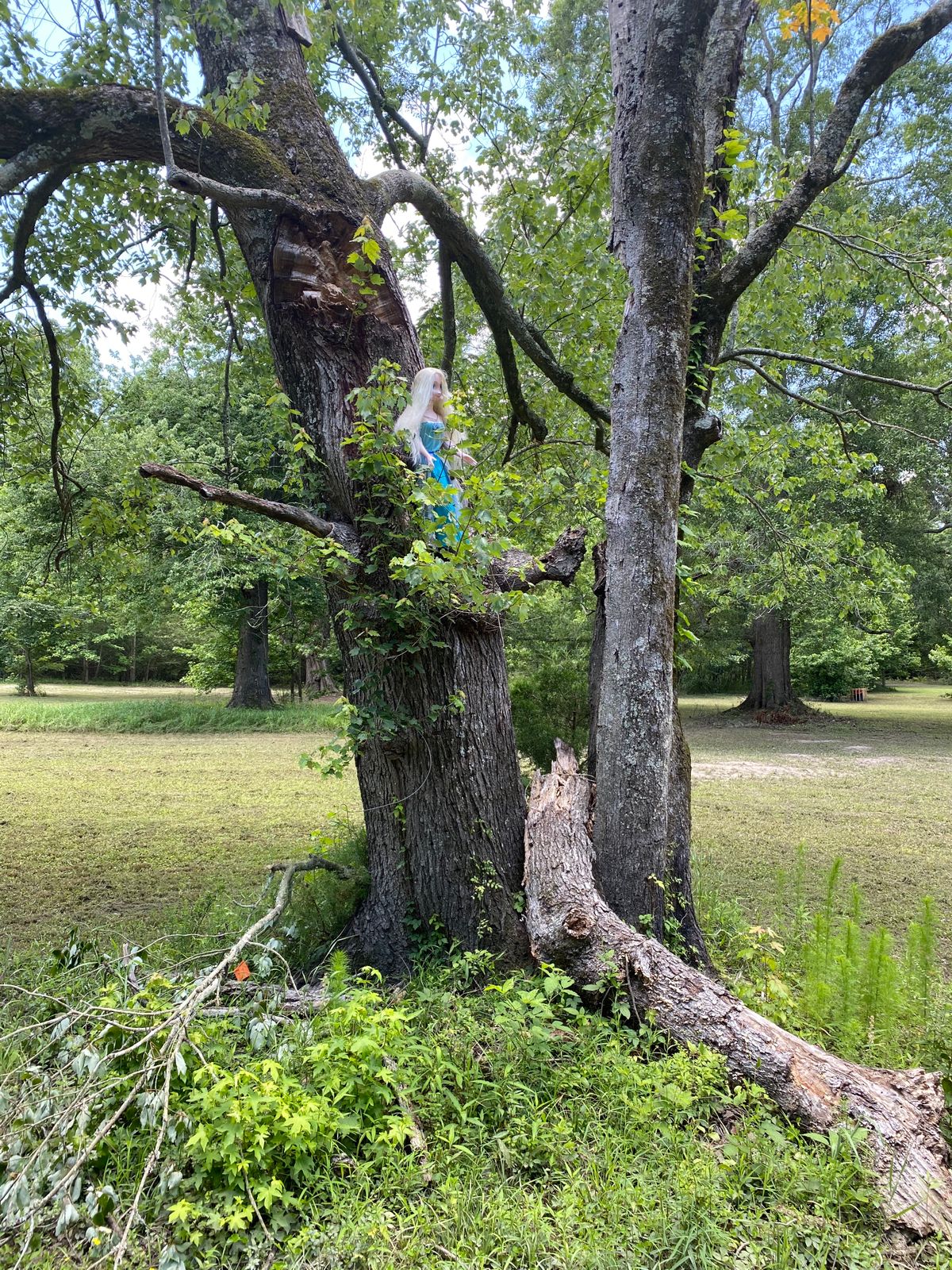 Audience at this tee pad
