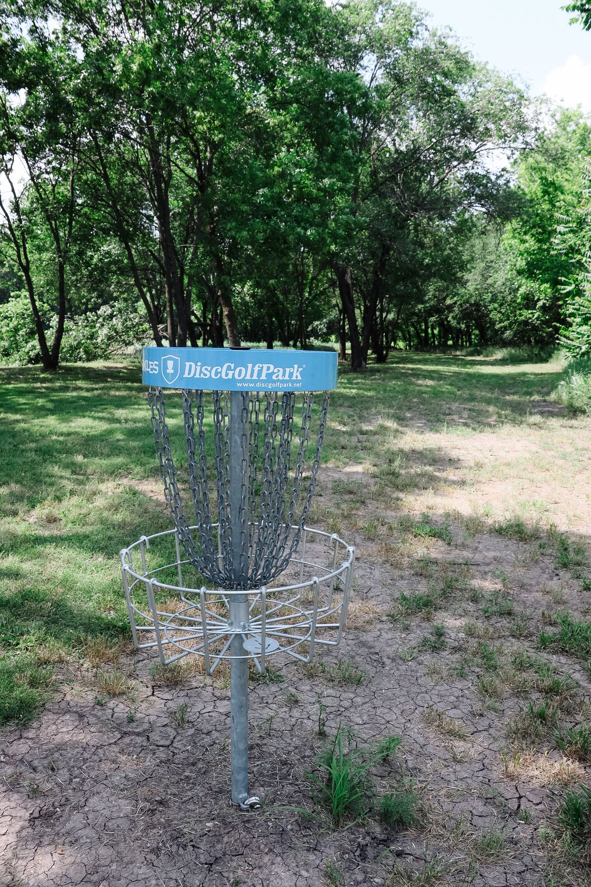 Safari Smiles DGC