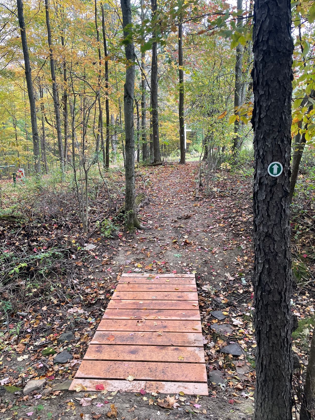 Green Arrows indicated shared paths 