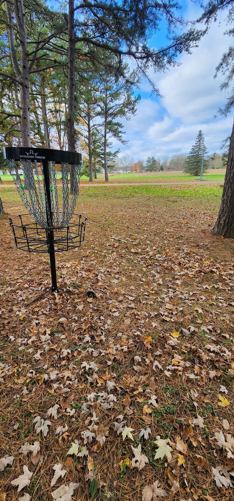 Hole 10 basket location