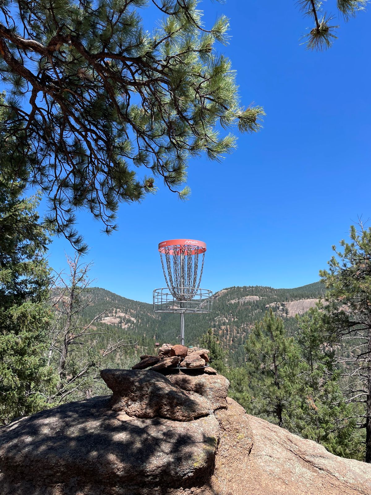 Basket of 6