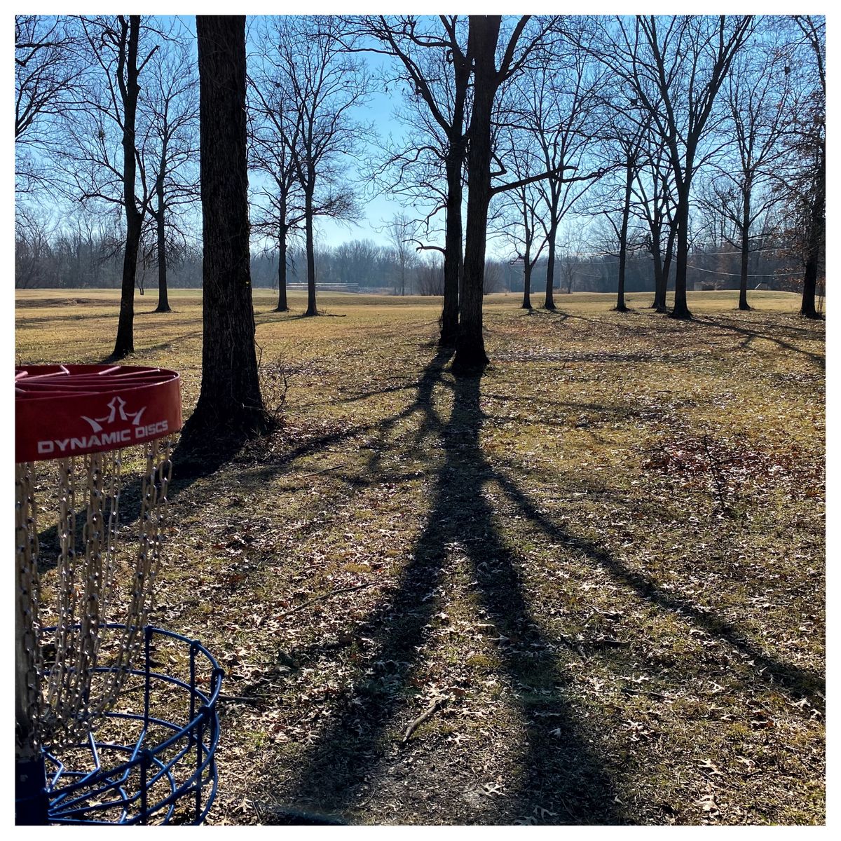 #9 green