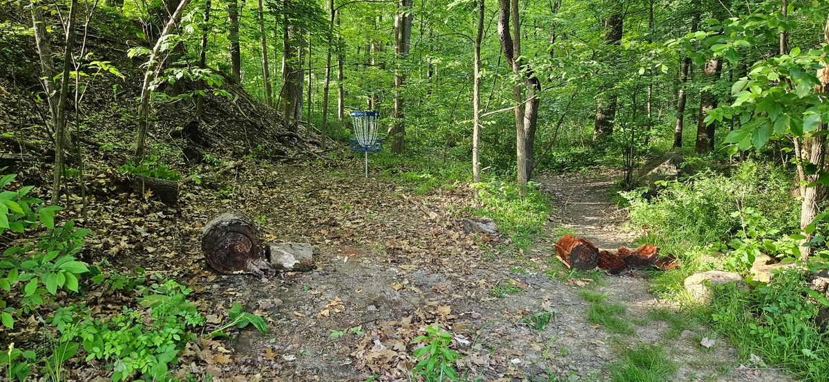 View into the tight wooded gap to the basket on hole 6. 