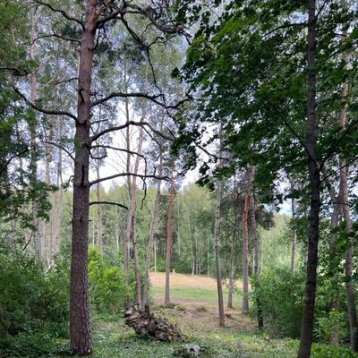 Väylä 3