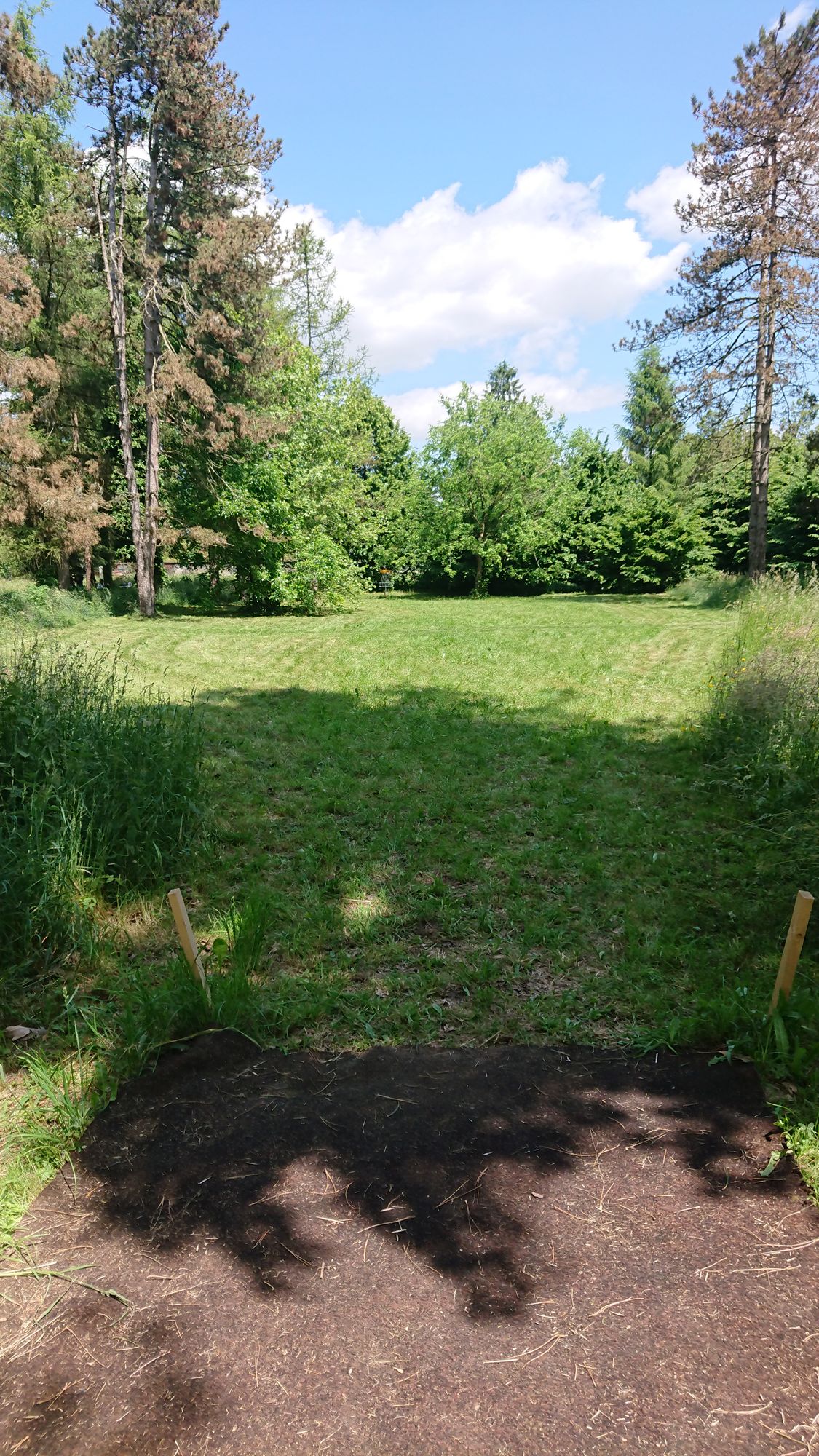 Hole 9