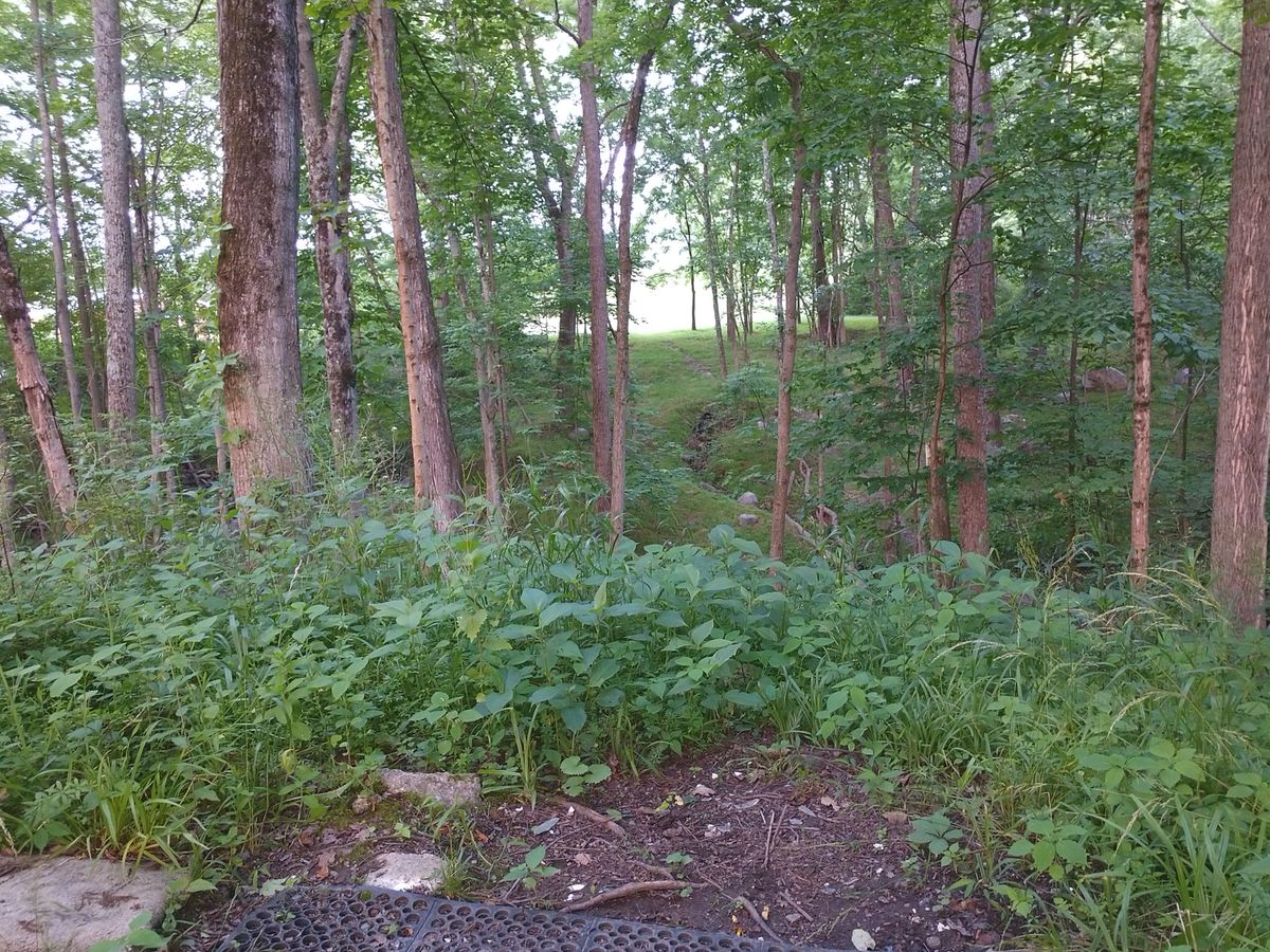 Hole 15
