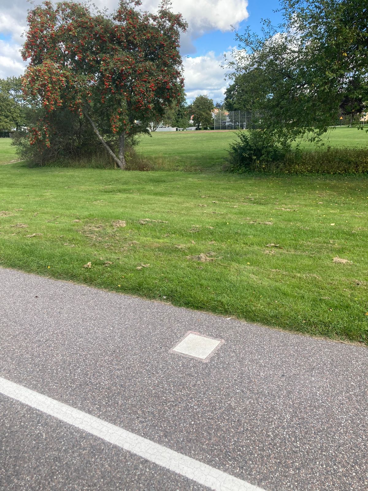 Tee 5