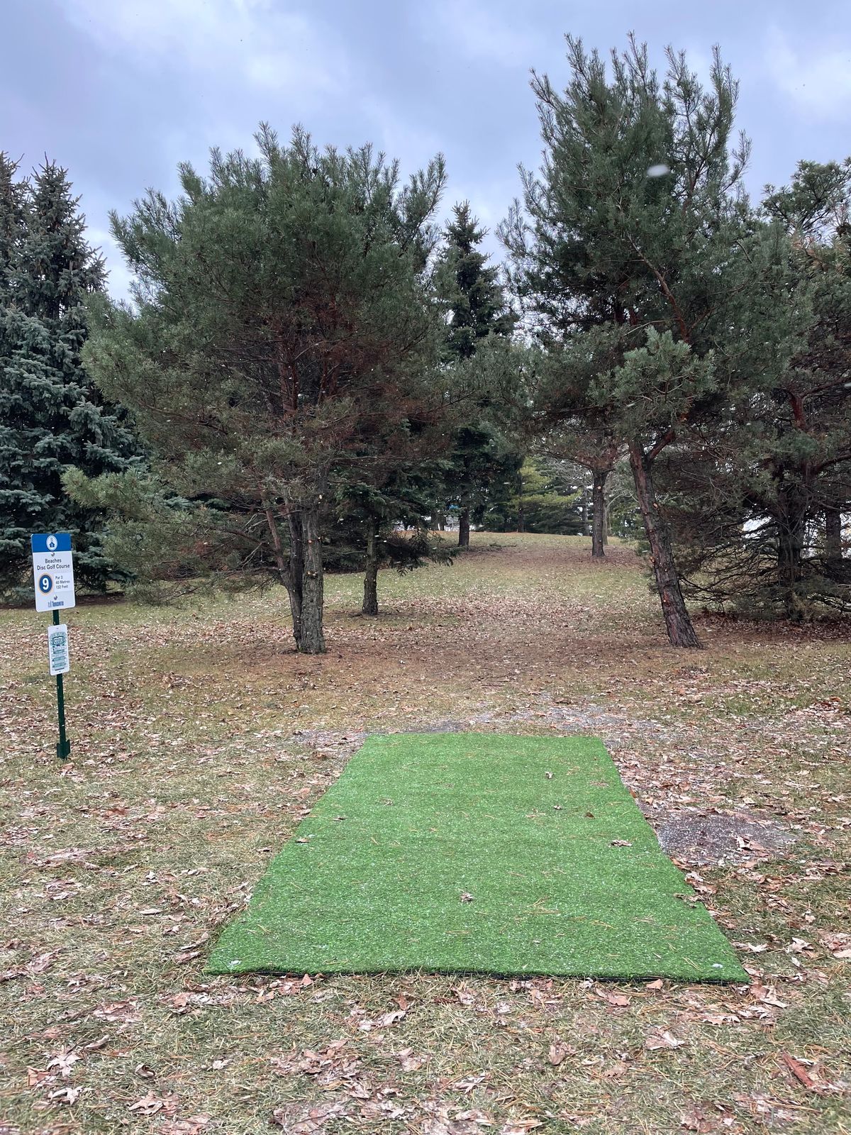 Hole 9 tee with basket and green just visible through the trees.