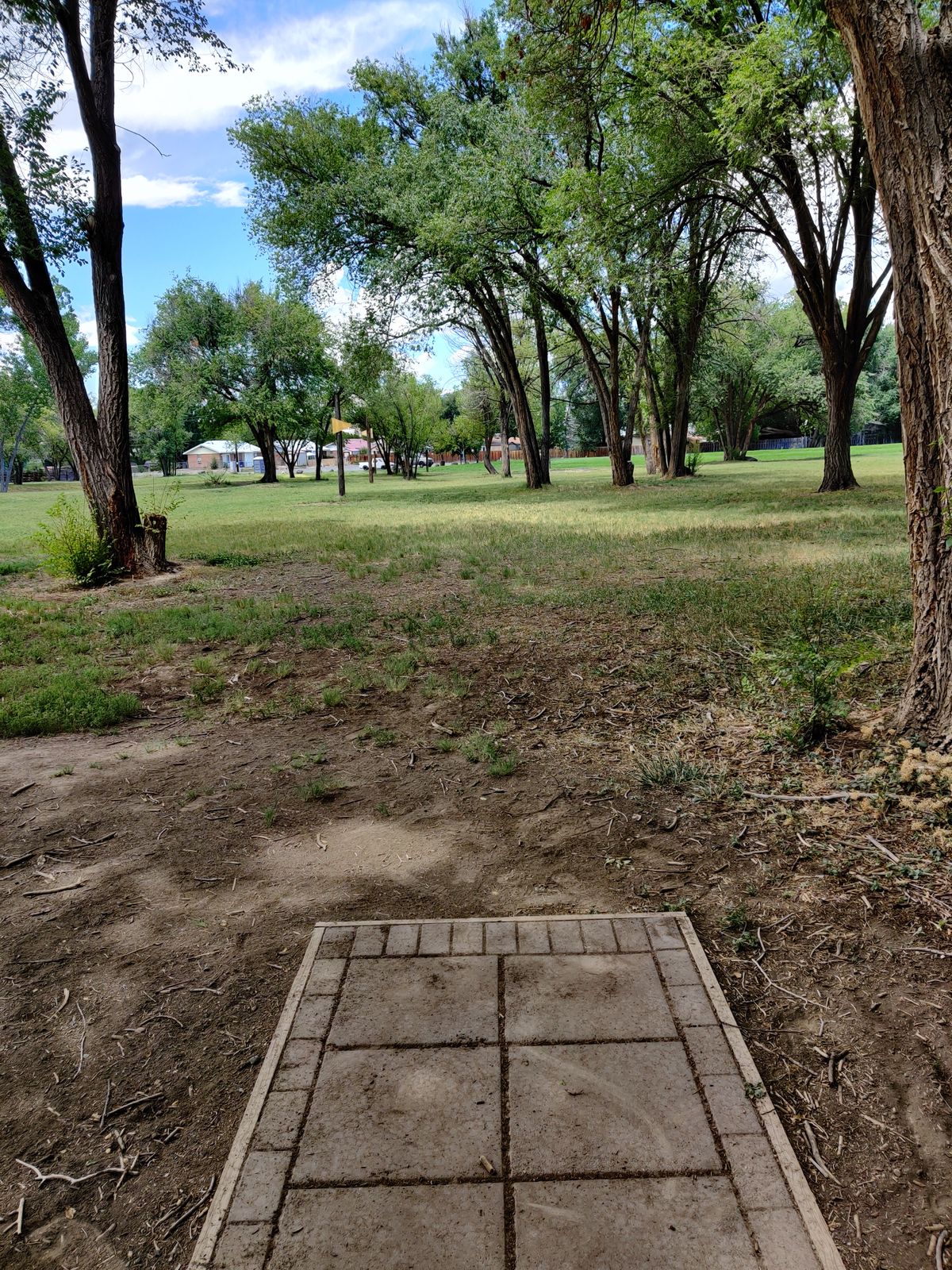 Hole 6