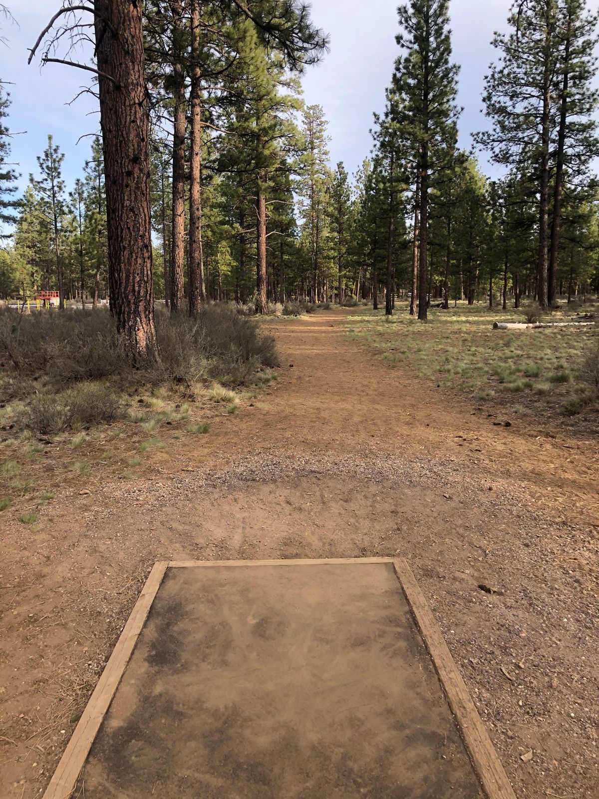 17 tee to basket