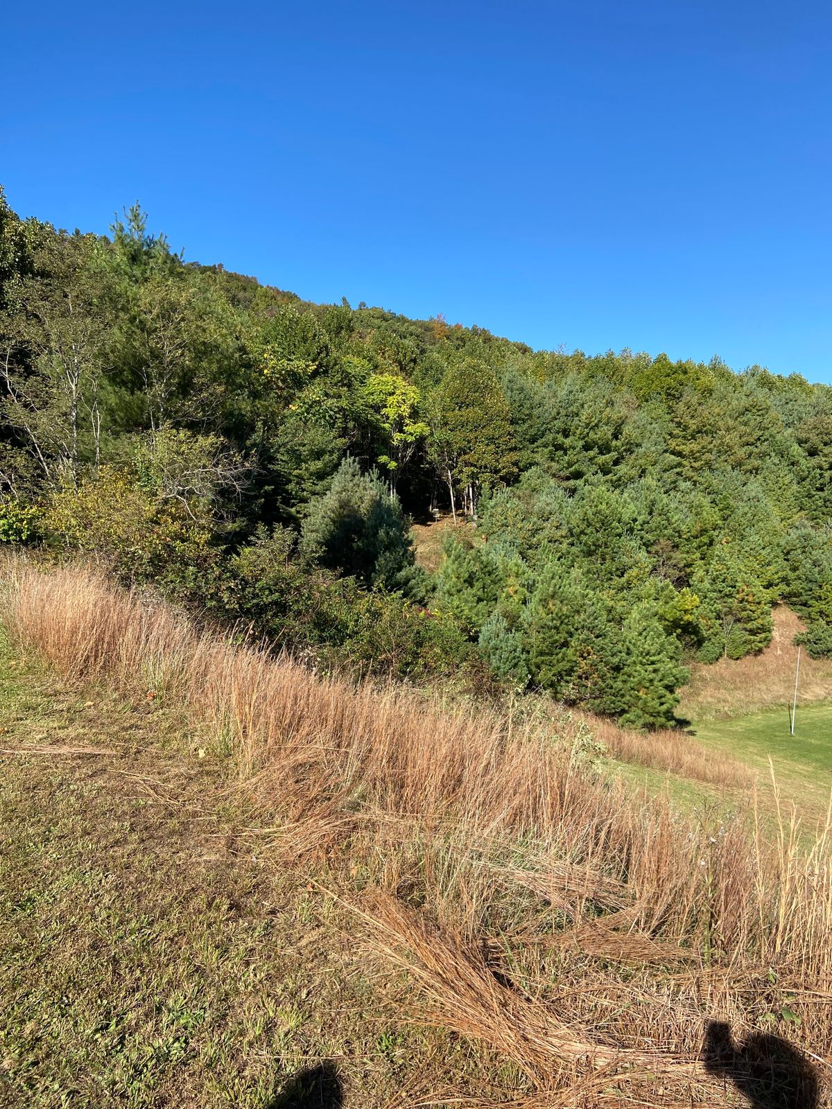 Looking from tee of 1
