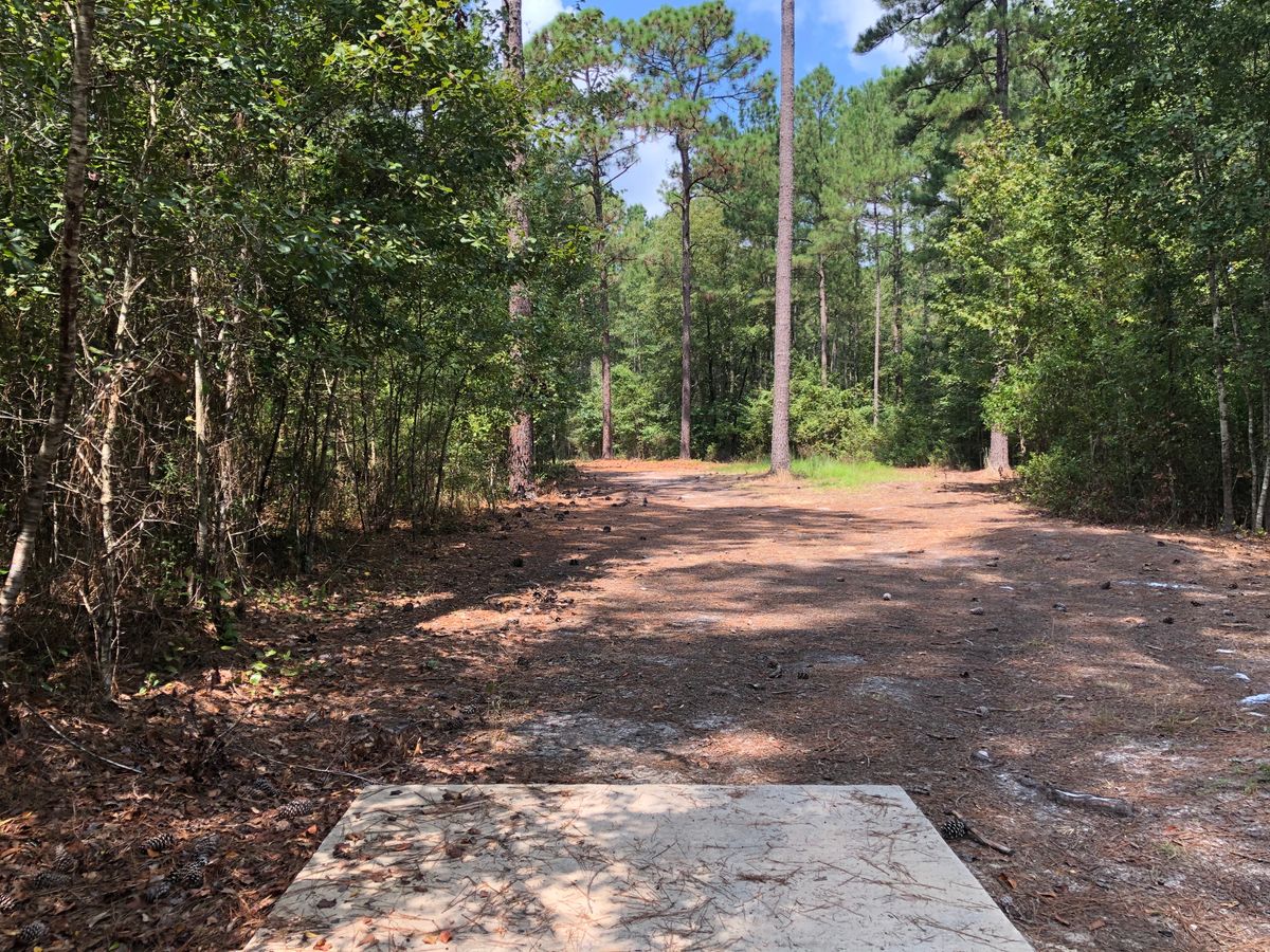 Hole 6 - Blue