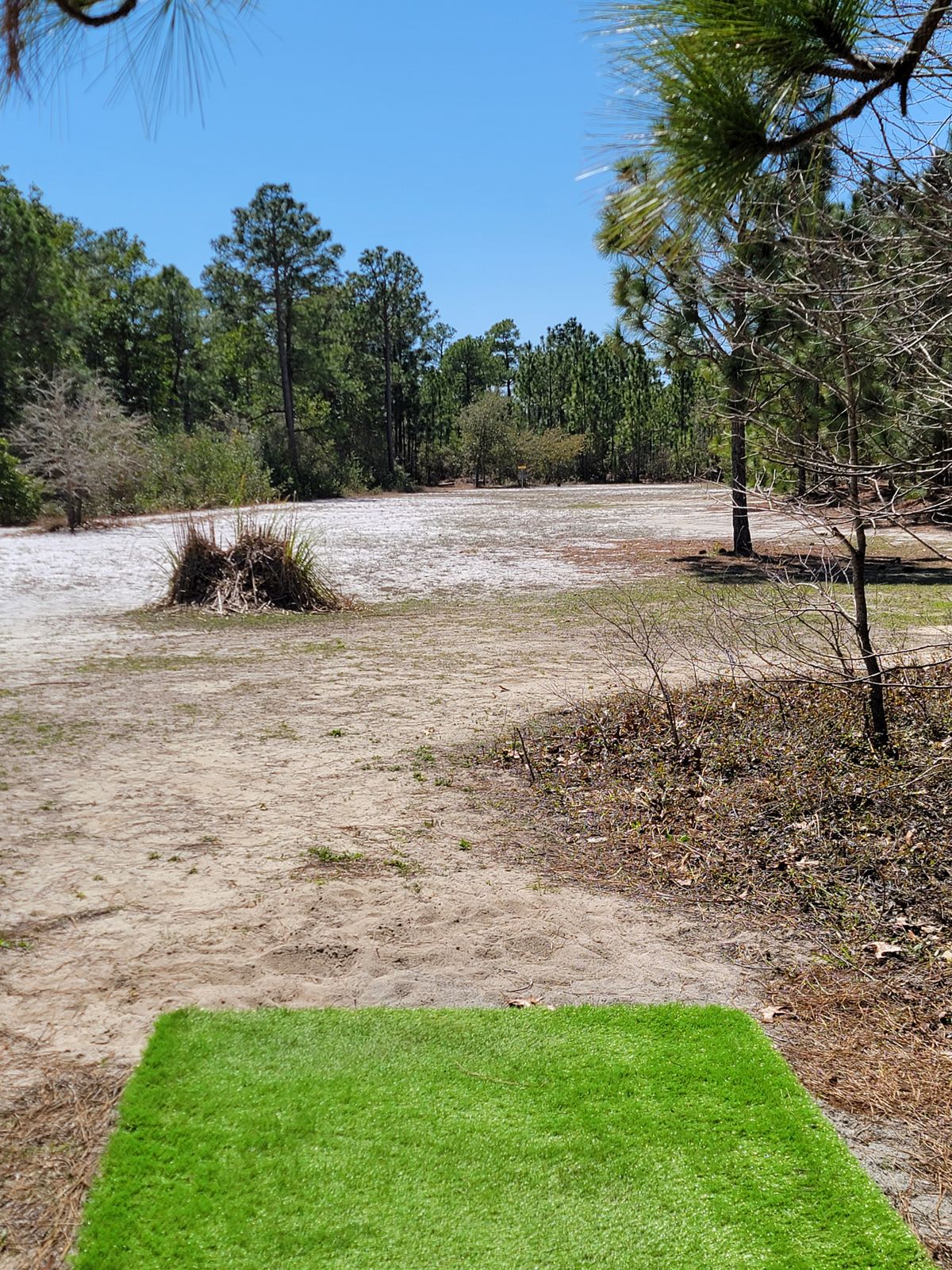 Hole 13 tee