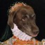 User avatar image