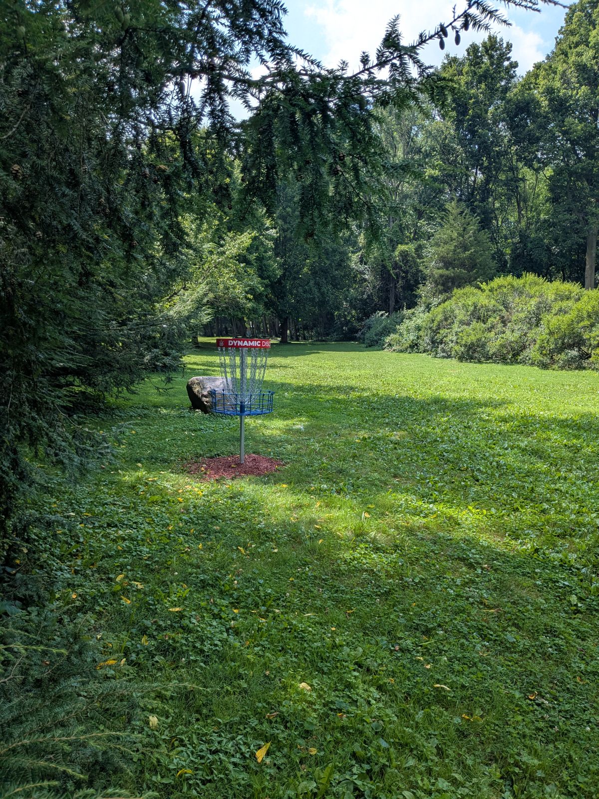 #2 Basket to Tee