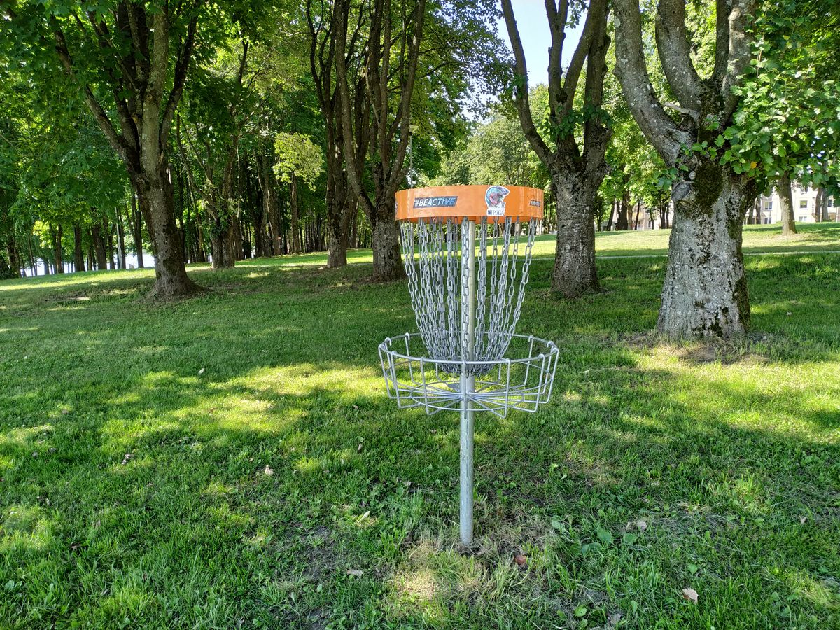 16 basket