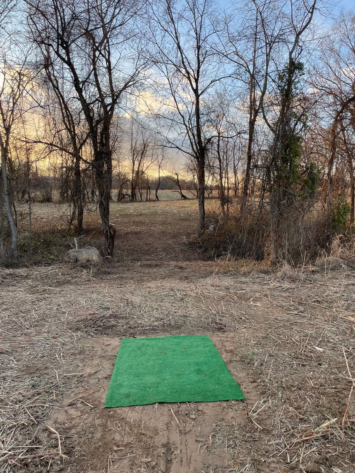 Hole 4