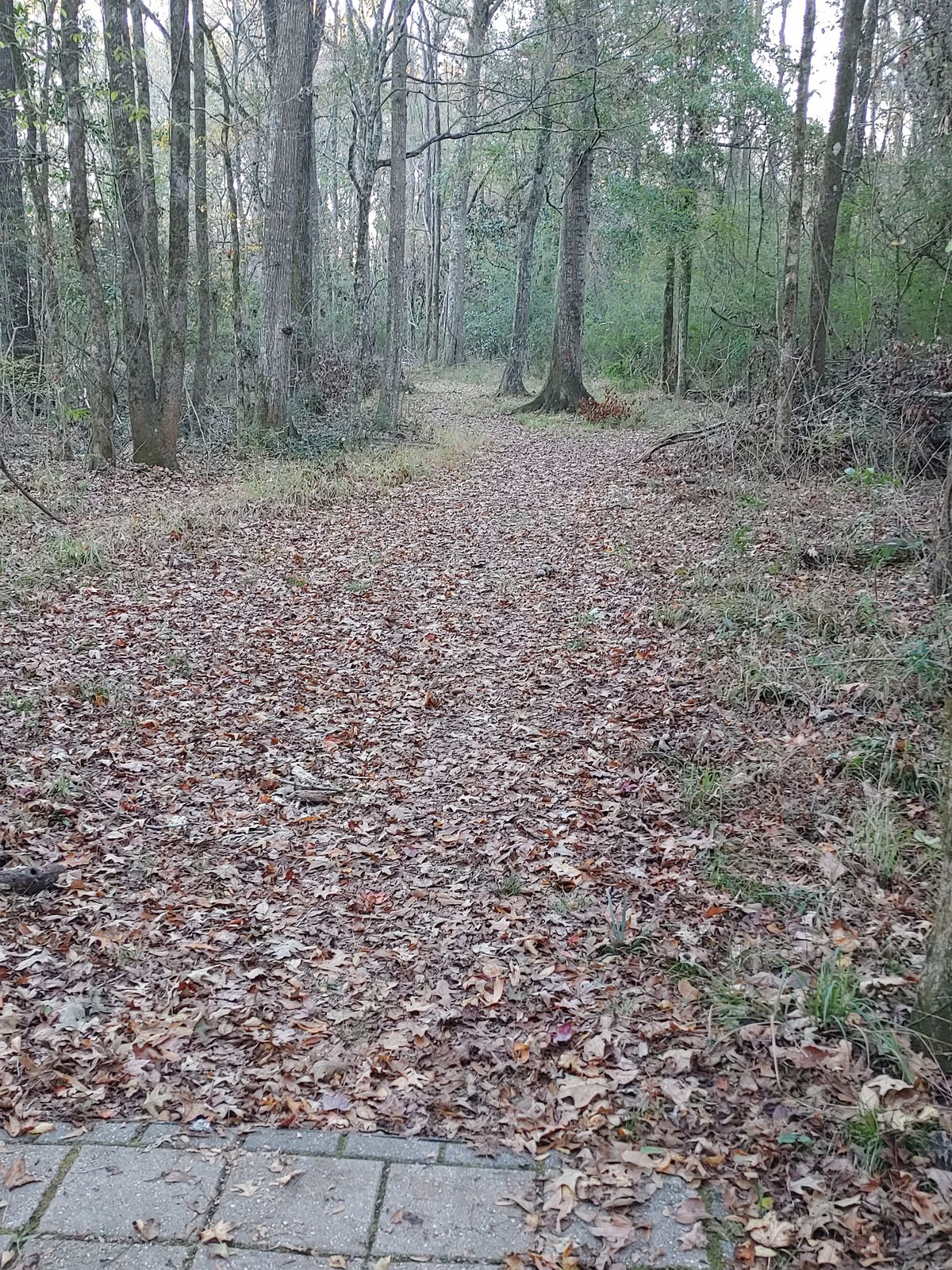 Hole 11 Pro