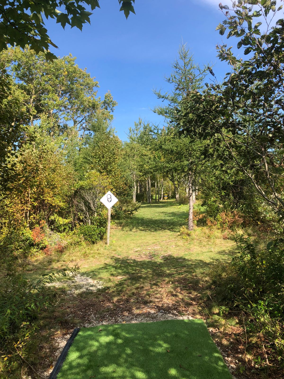 Tee pad Hole 8 Oct 7 21