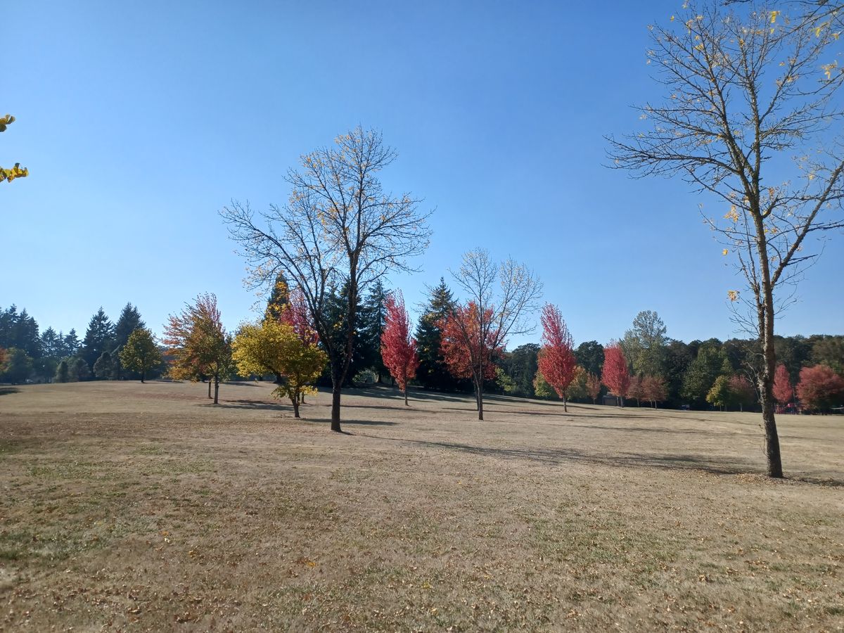 Hole 12