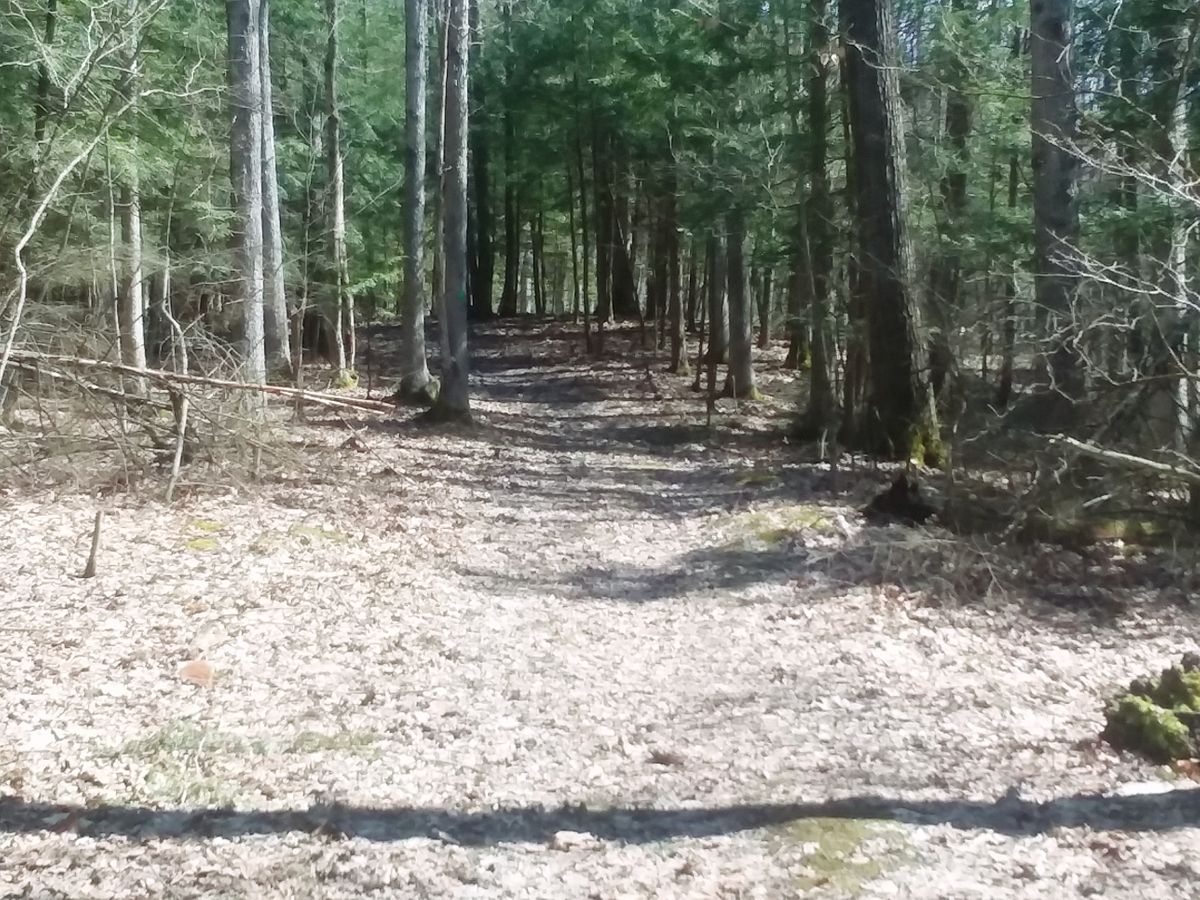 Hole 9
