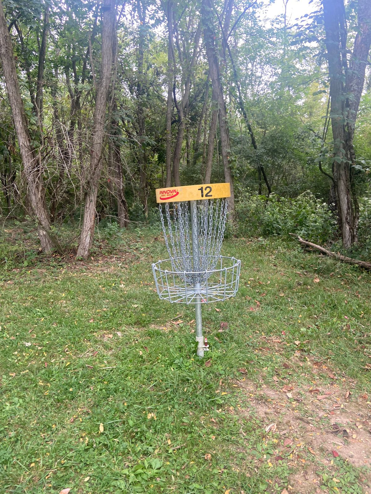 Basket on 12