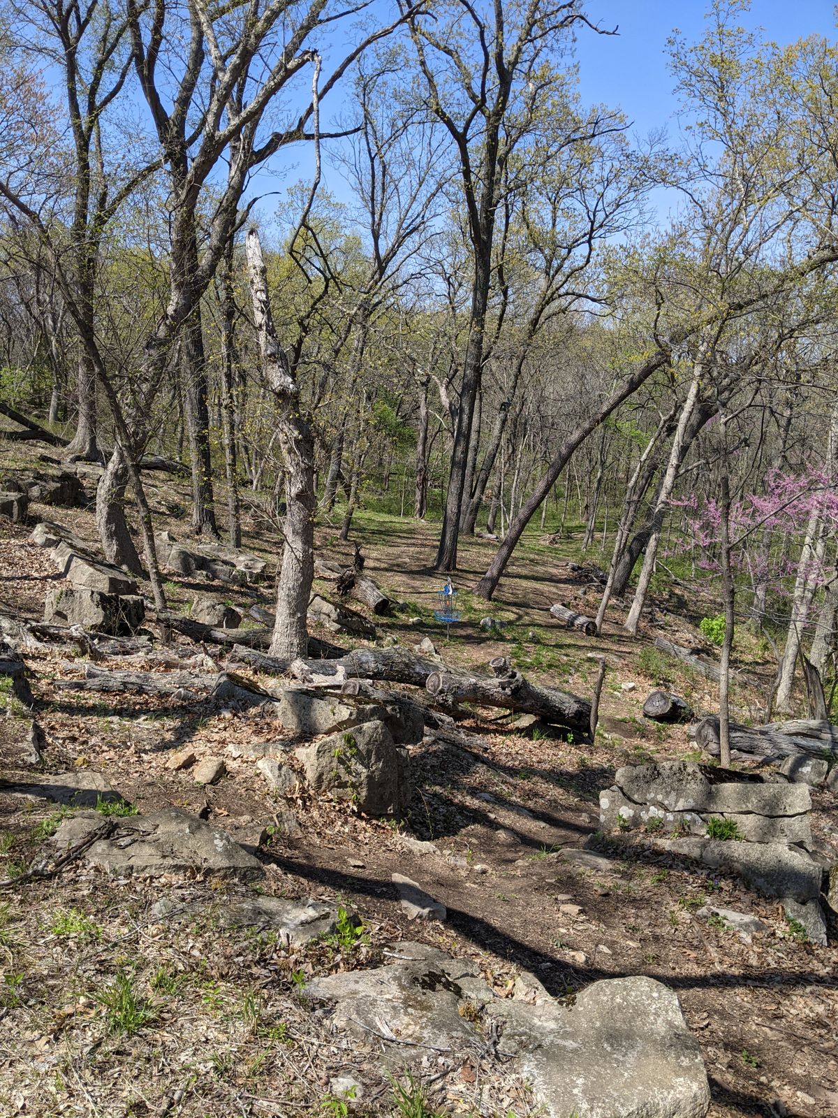Hole 3, photo from long position (par 5), looking at middle position (par 4)