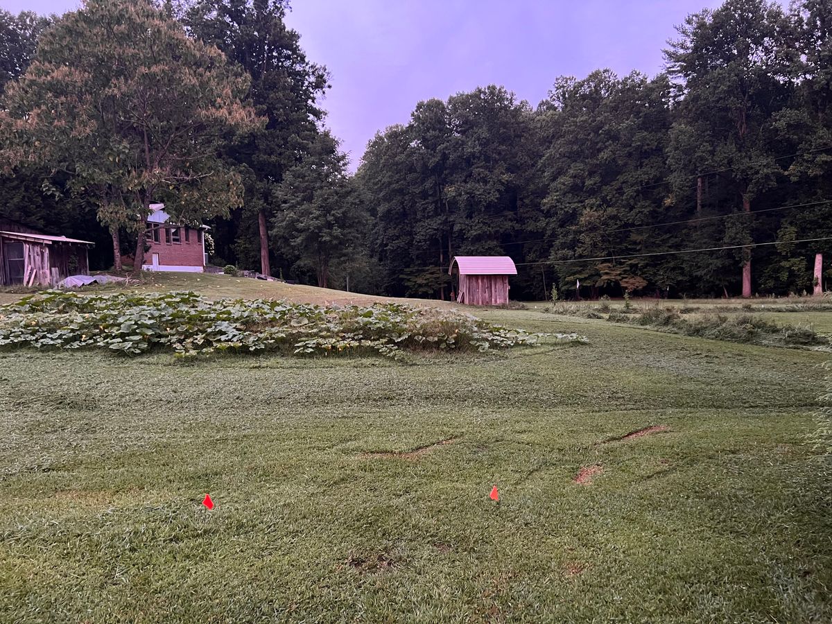 Hole 6 tee pad. Get it out wide right. House and concrete pad is OB.