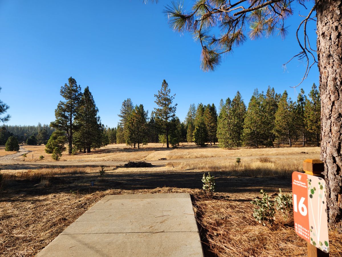 16s fairway.