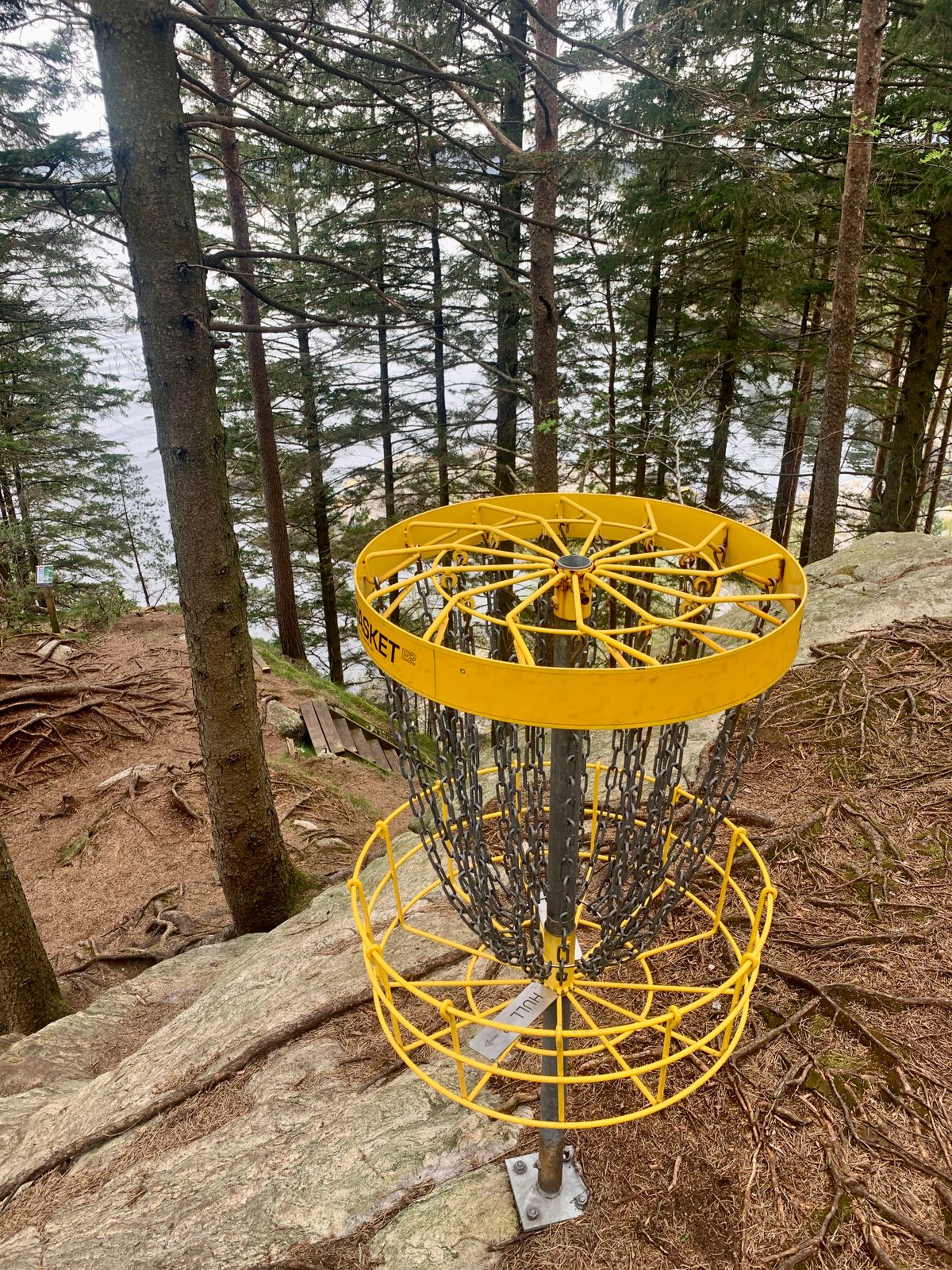Hull 12 ..deep and high in the woods