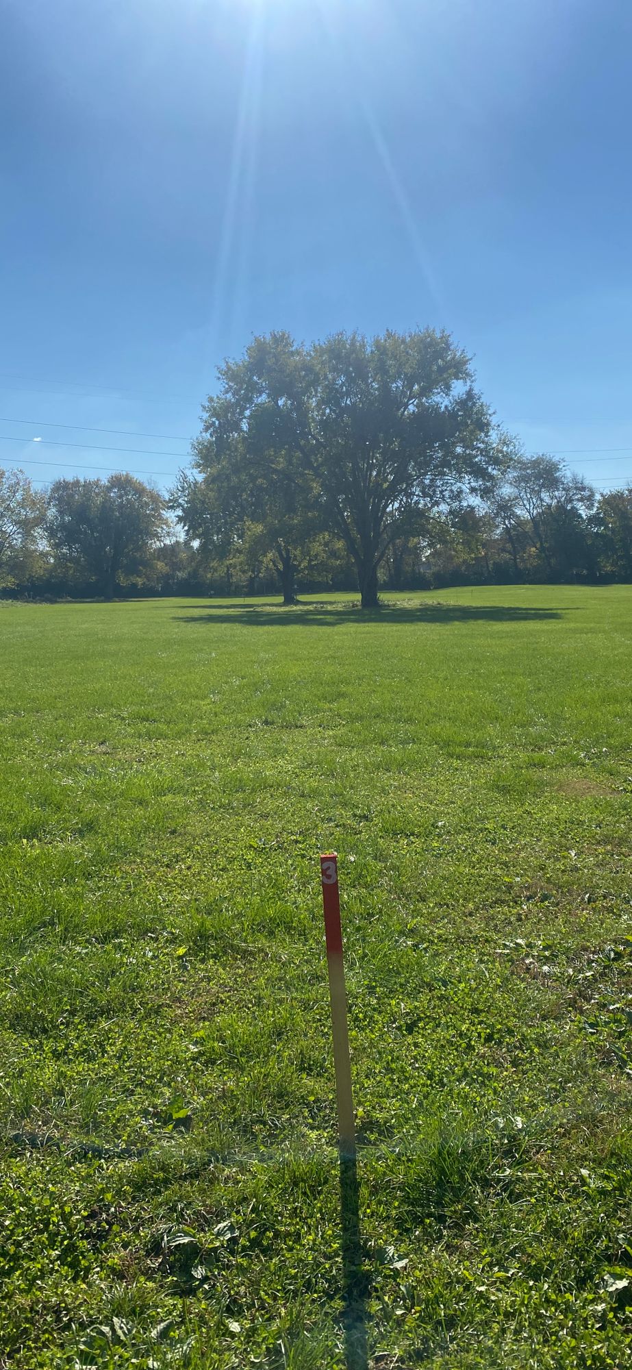 Hole 3