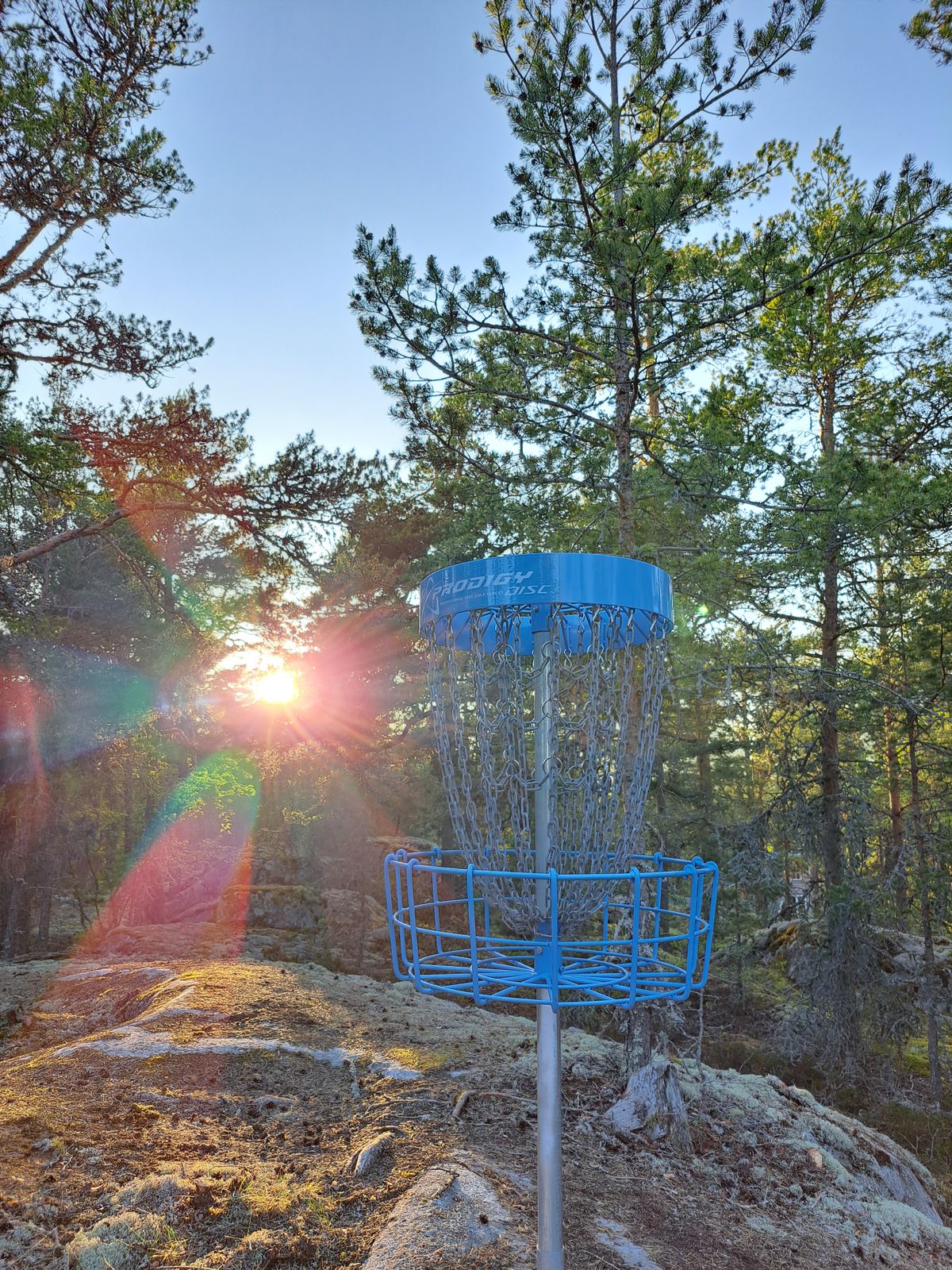 Hole 6, with the sun going down behind the basket.