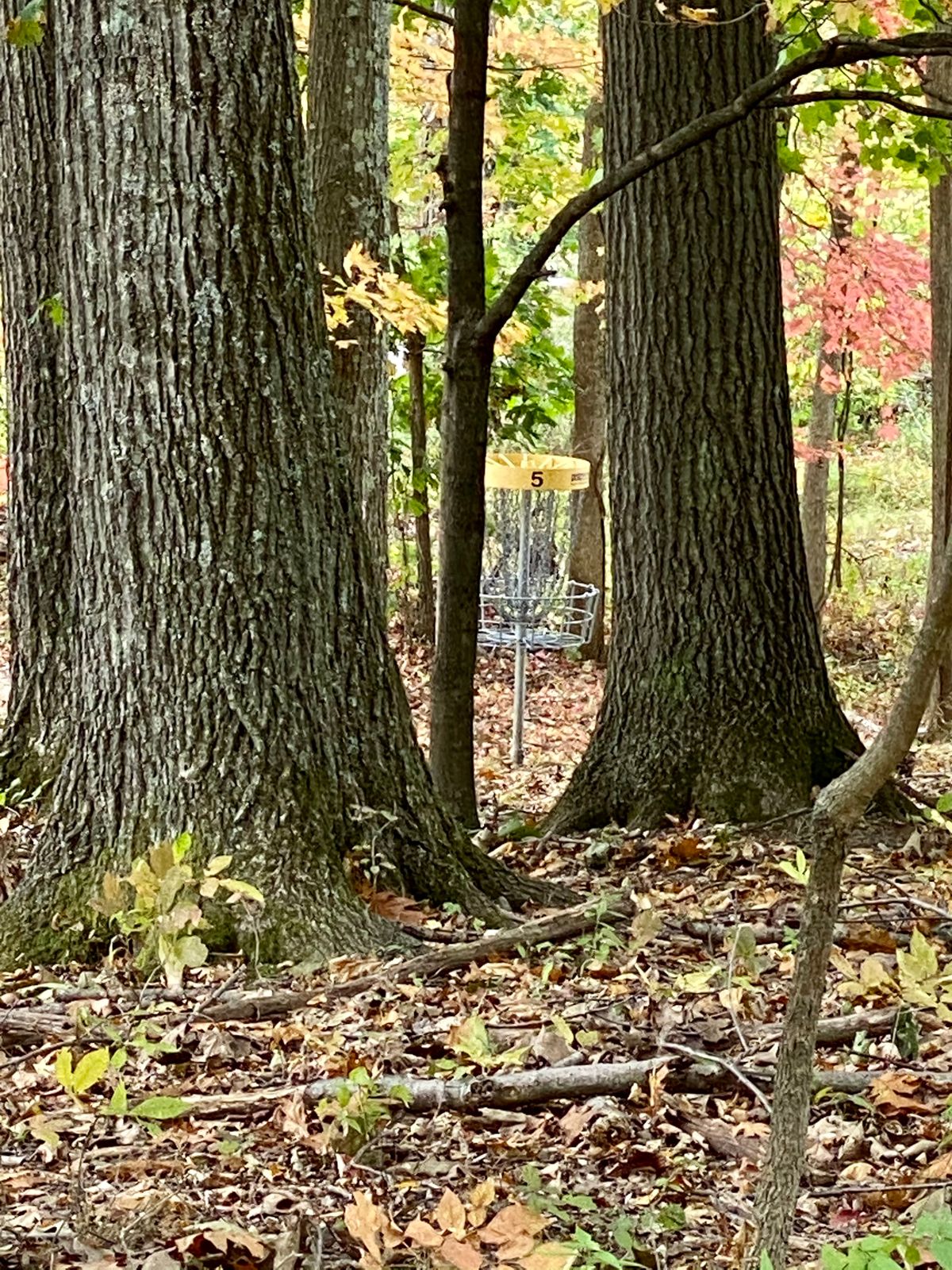 Five is a hike from Hole 4.