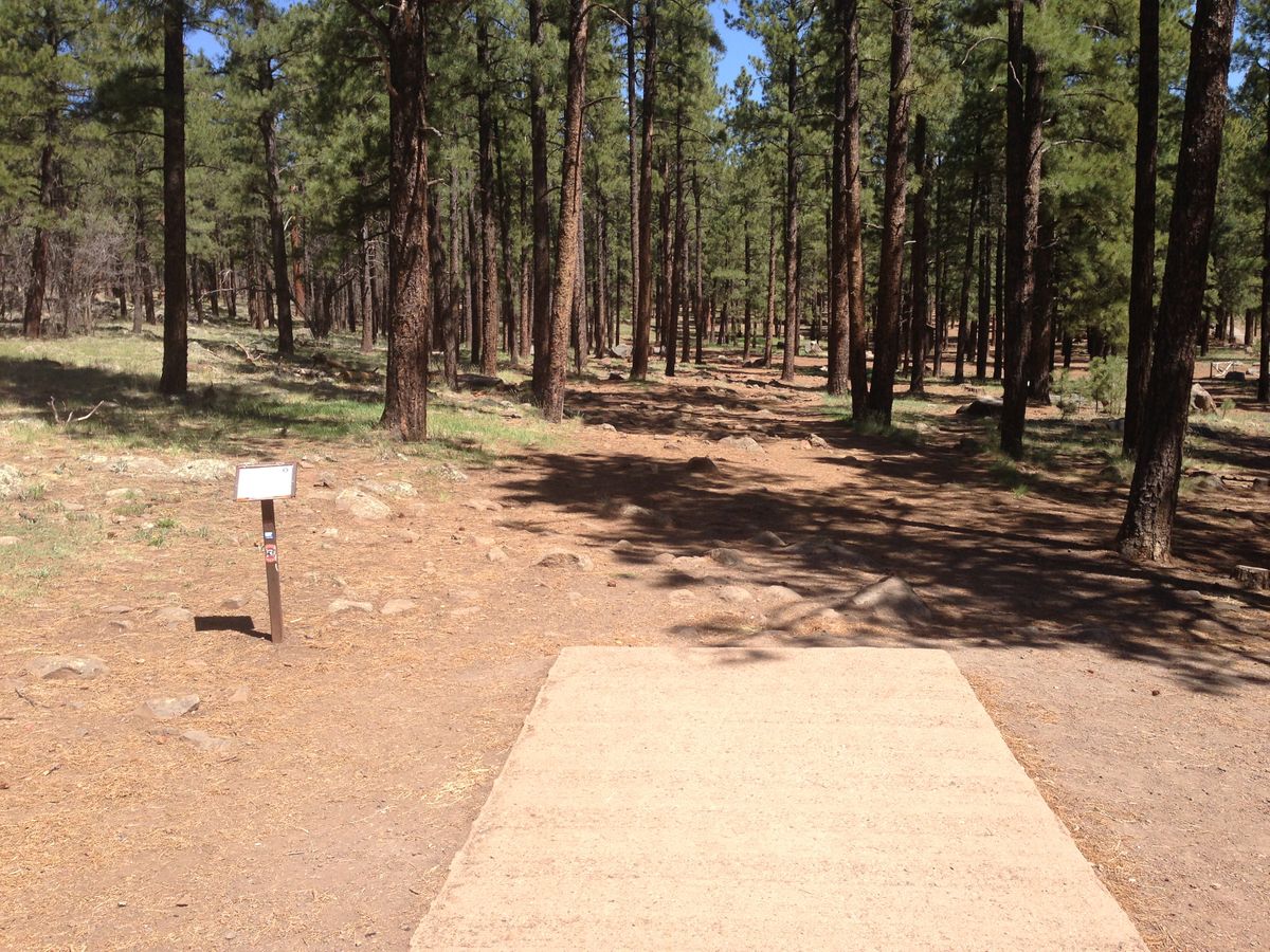 Hole 5