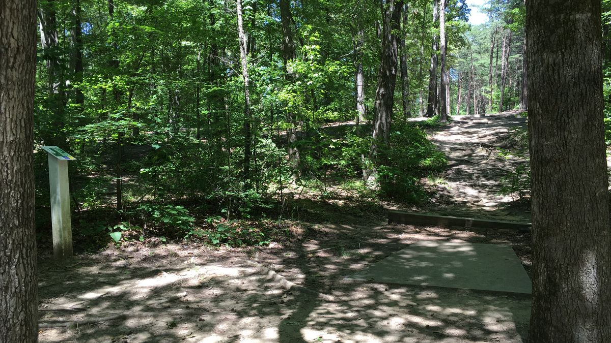 Hole 5