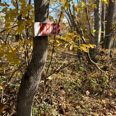Next tee navigation