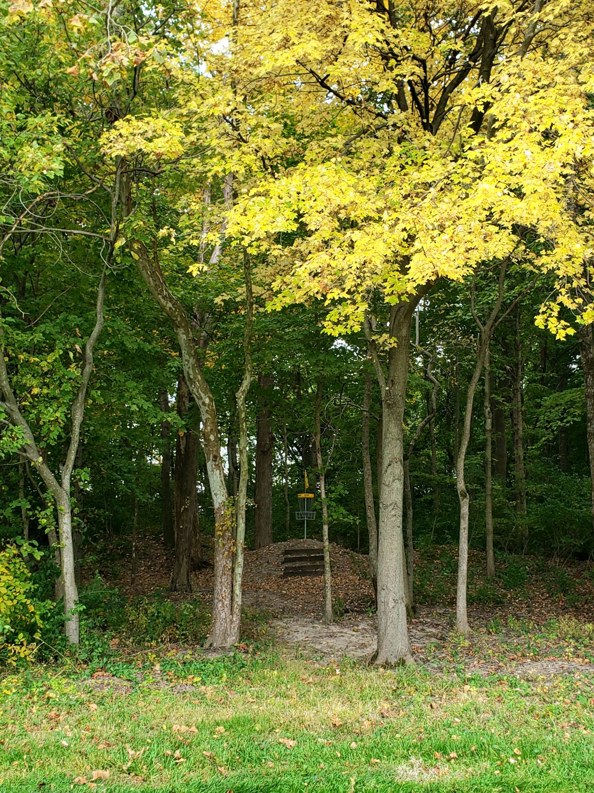 New Gold layout Hole 8 Basket