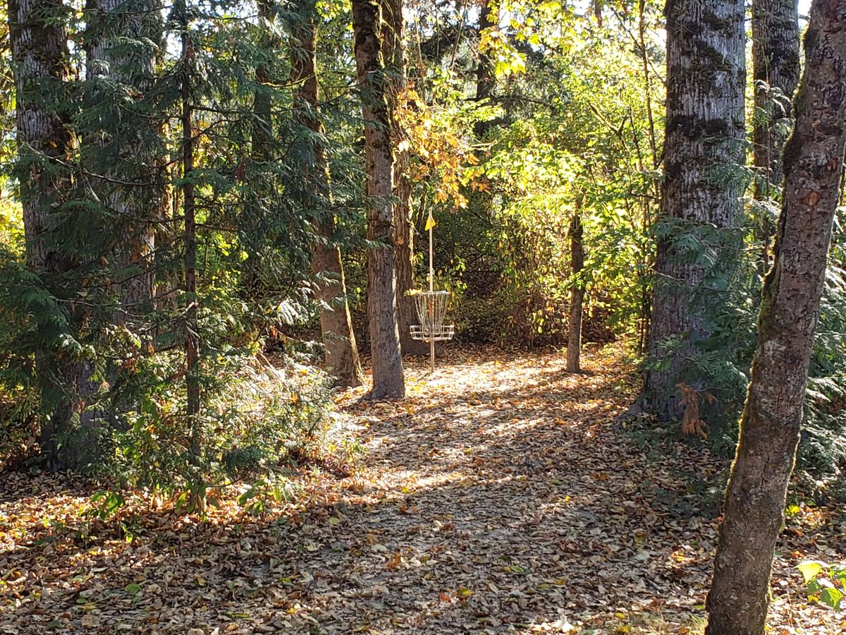 Hole #11 the only par 4. Have you birdied it ?