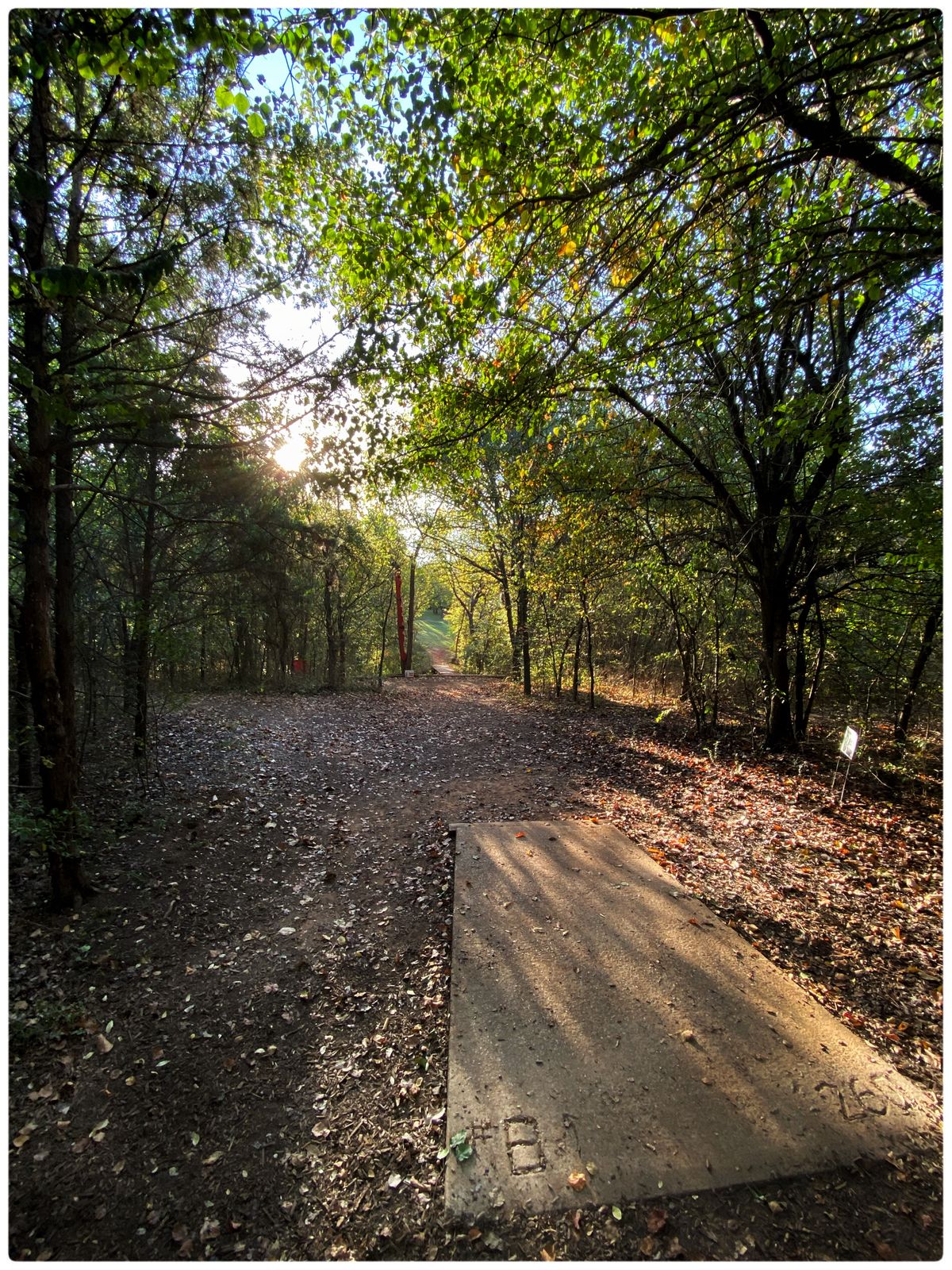 #8 Main Tee