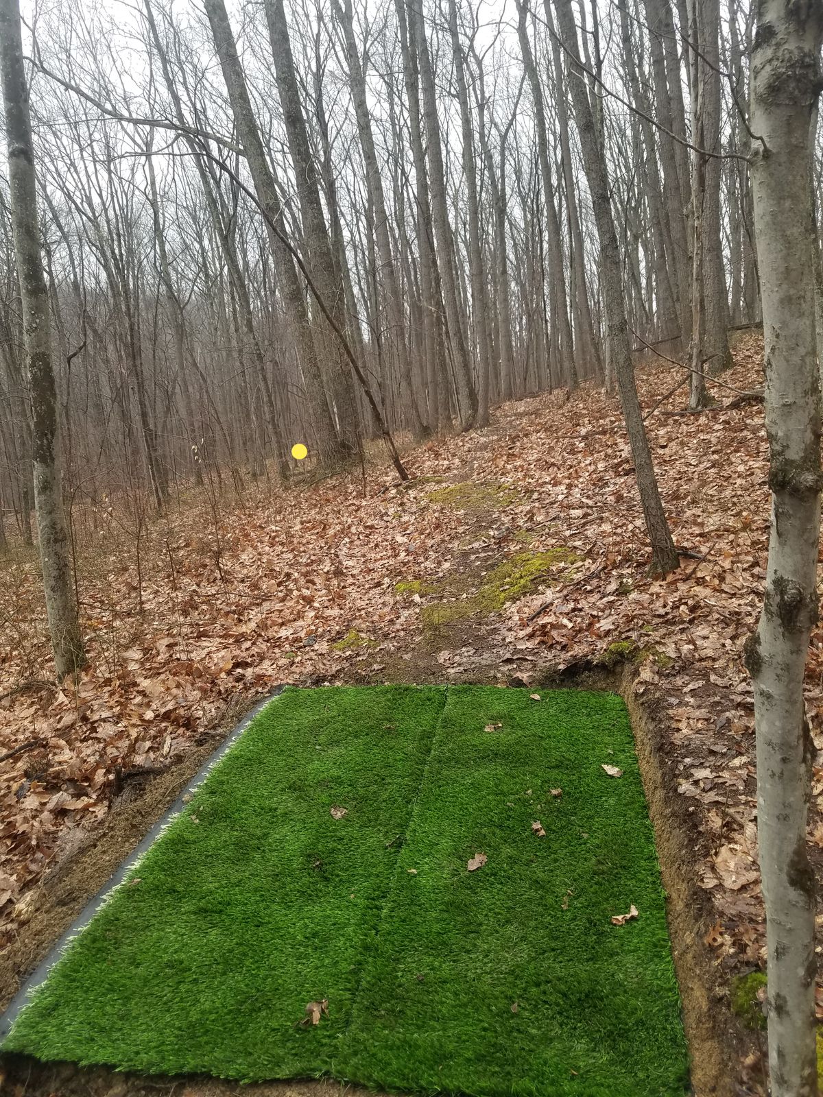Hole #13 the "hive-in-a-hole" hole. Yellow dot marks the basket.