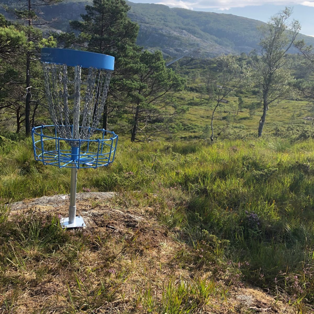 Hole 1 basket
